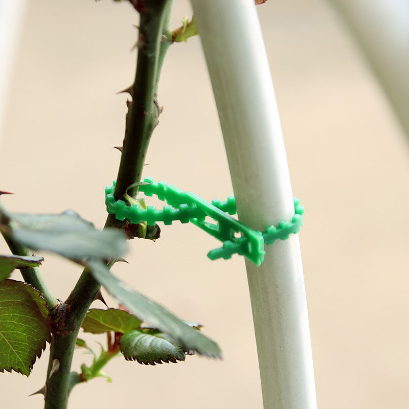 Pengikat kabel taman, 50/100 b - Gear Tie Reusable ulasan dan harga