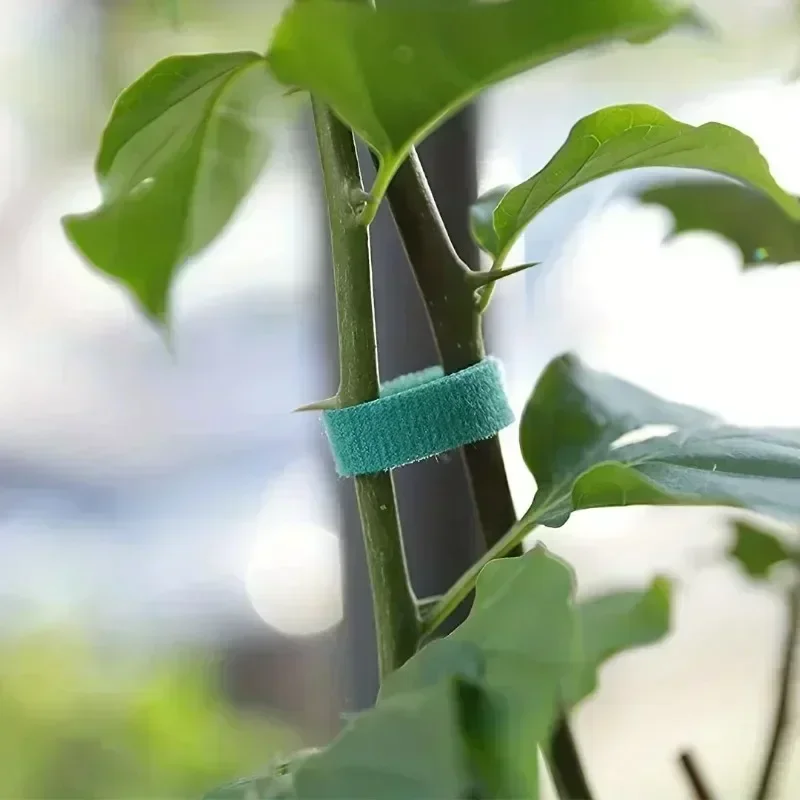 1/100M Dapat Disesuaikan Tanam - Gear Tie Reusable ulasan dan harga